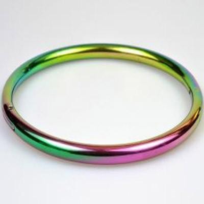 Rainbow Steel Slave Collar