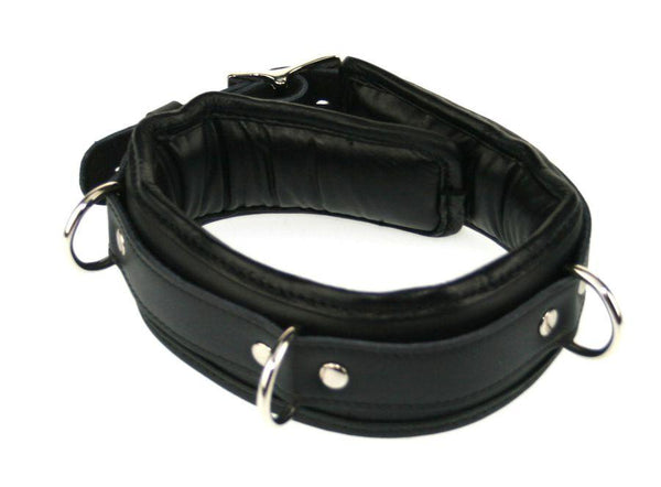 Padded Leather Collar with D-Rings and Locking Buckle
