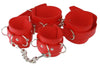 PVC Wrist and Ankle Restraints Kit (Style 5)