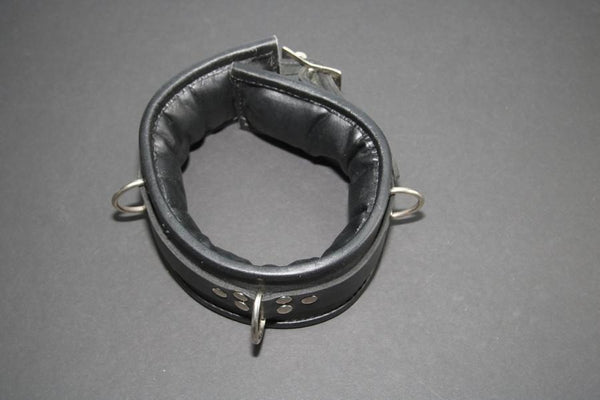 Clearance Leather Padded Collar with Locking Buckle
