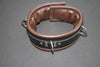 Clearance Leather Padded Collar with Locking Buckle
