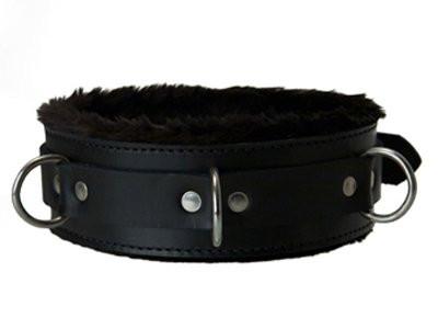Lined Collar with D-Rings and Locking Buckle (Style 5)