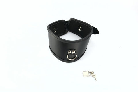 Locking Posture Collar with D-Ring  (Style 11)